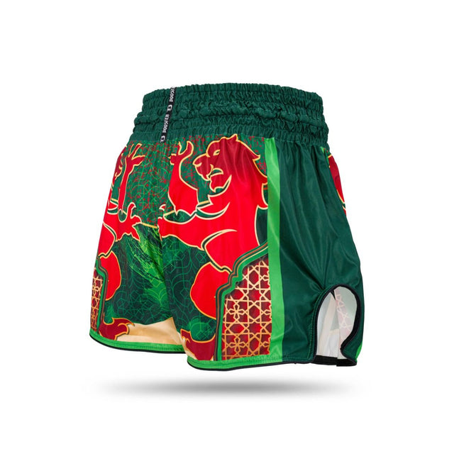 Spodenki do kickboxingu Booster TBT – Maroko