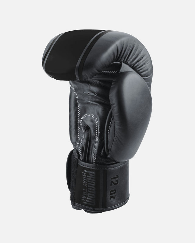 Mănuși de box Phantom Athletics MT-Pro – Negru