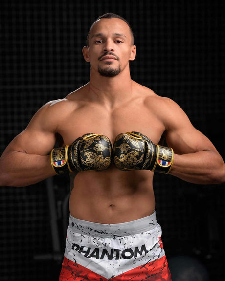 MMA sparingové rukavice Phantom Athletics Muay Thai – Černé/Zlaté