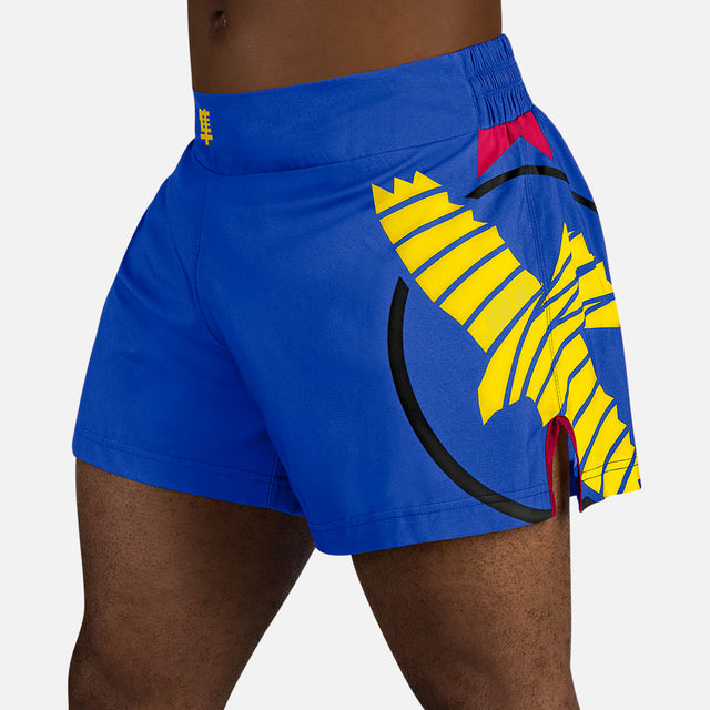 Pantaloni scurți Muay Thai Hayabusa Icon – Albastru/Galben